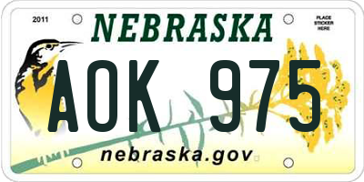 NE license plate AOK975