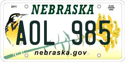 NE license plate AOL985
