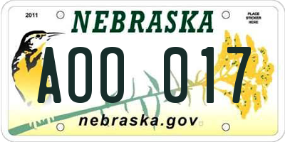 NE license plate AOO017