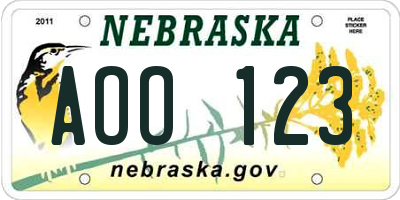 NE license plate AOO123