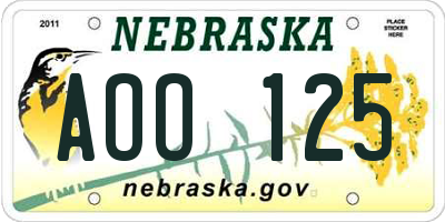NE license plate AOO125