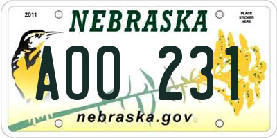 NE license plate AOO231