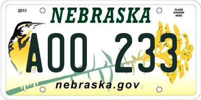 NE license plate AOO233