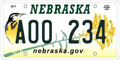 NE license plate AOO234