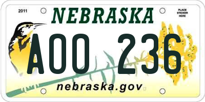 NE license plate AOO236