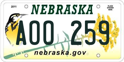 NE license plate AOO259