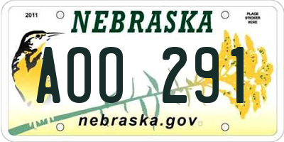 NE license plate AOO291