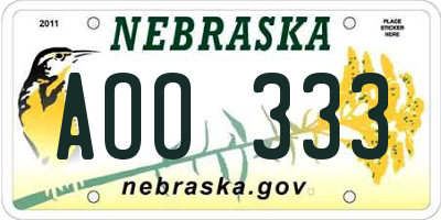 NE license plate AOO333