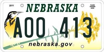 NE license plate AOO413