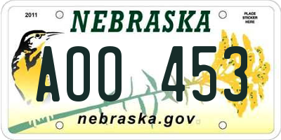 NE license plate AOO453