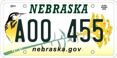 NE license plate AOO455