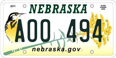 NE license plate AOO494
