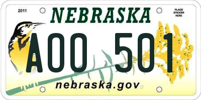 NE license plate AOO501