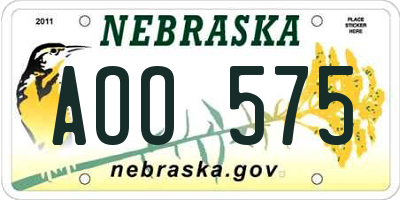 NE license plate AOO575
