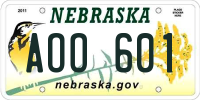 NE license plate AOO601