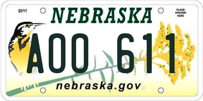 NE license plate AOO611