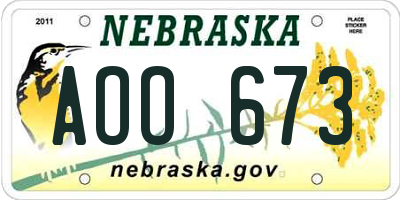 NE license plate AOO673