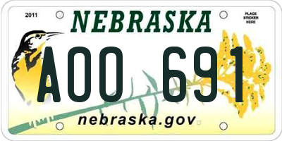 NE license plate AOO691