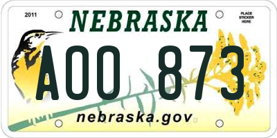 NE license plate AOO873
