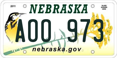 NE license plate AOO973