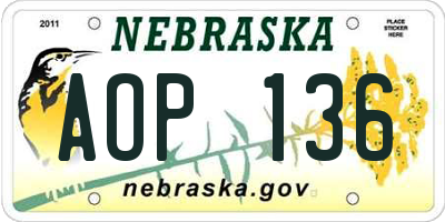 NE license plate AOP136
