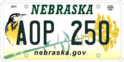 NE license plate AOP250
