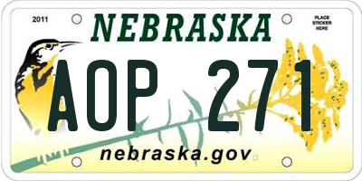 NE license plate AOP271