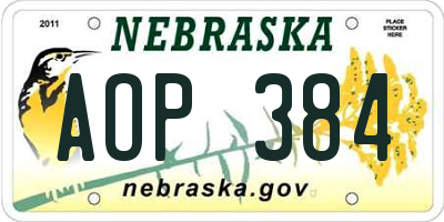 NE license plate AOP384