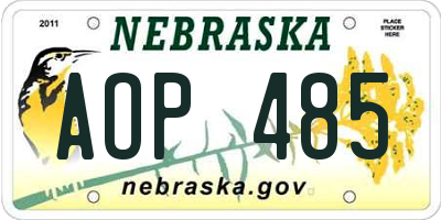 NE license plate AOP485