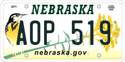 NE license plate AOP519