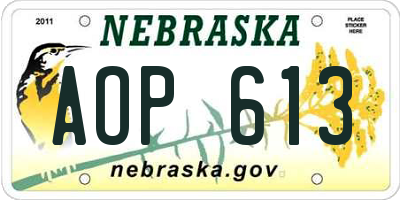 NE license plate AOP613