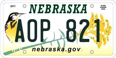 NE license plate AOP821