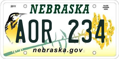 NE license plate AOR234
