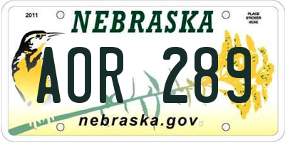 NE license plate AOR289