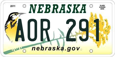 NE license plate AOR291