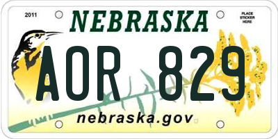 NE license plate AOR829