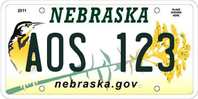 NE license plate AOS123