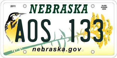 NE license plate AOS133