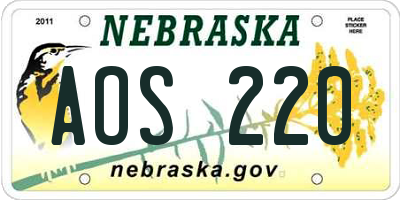 NE license plate AOS220