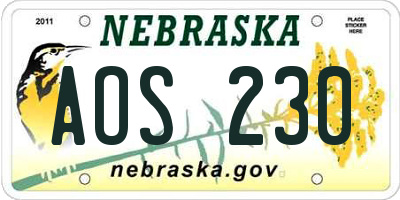 NE license plate AOS230