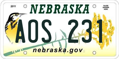 NE license plate AOS231