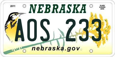 NE license plate AOS233
