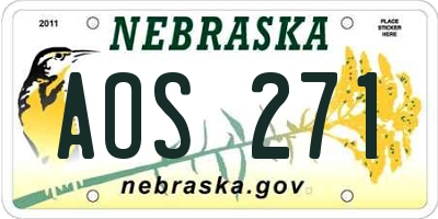 NE license plate AOS271