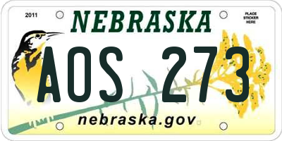 NE license plate AOS273