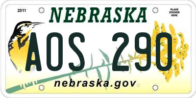 NE license plate AOS290