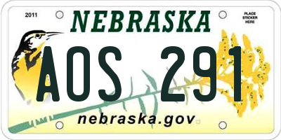 NE license plate AOS291