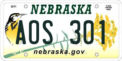 NE license plate AOS301