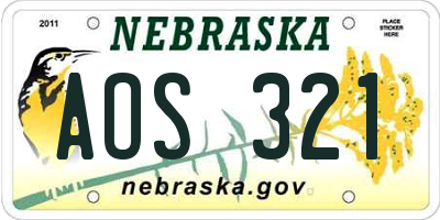 NE license plate AOS321