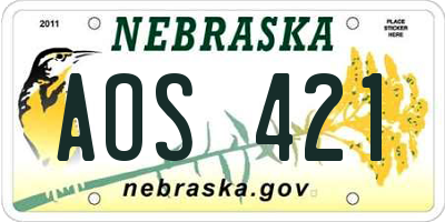 NE license plate AOS421