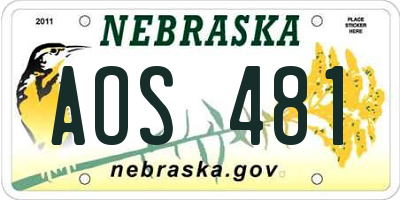 NE license plate AOS481